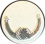 Deutsches_Tanzabzeichen_Silber
